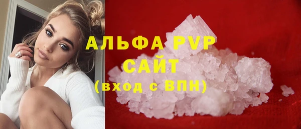 mdpv Каменногорск