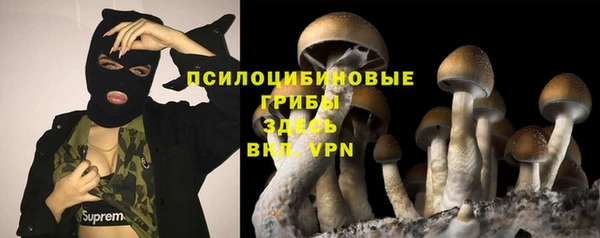 экстази Каменка