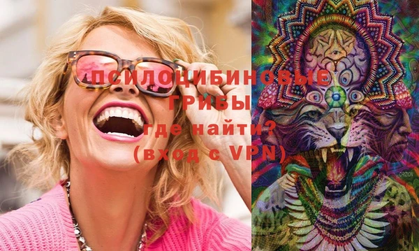 экстази Каменка