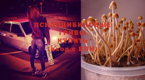 экстази Каменка