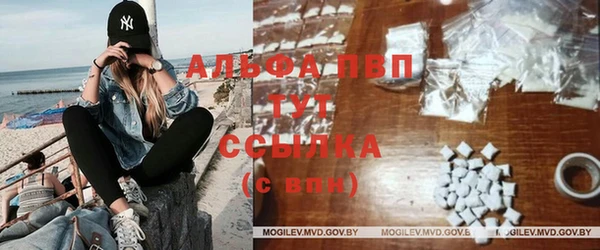 mdpv Каменногорск